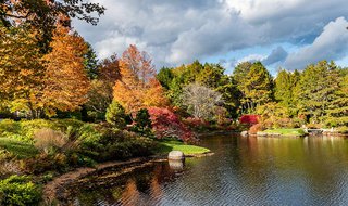 Acadia National Park