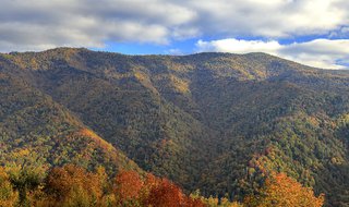 Great Smoky Mountains National Park