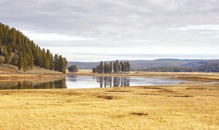 Yellowstone National Park