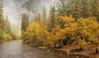 Yosemite National Park
