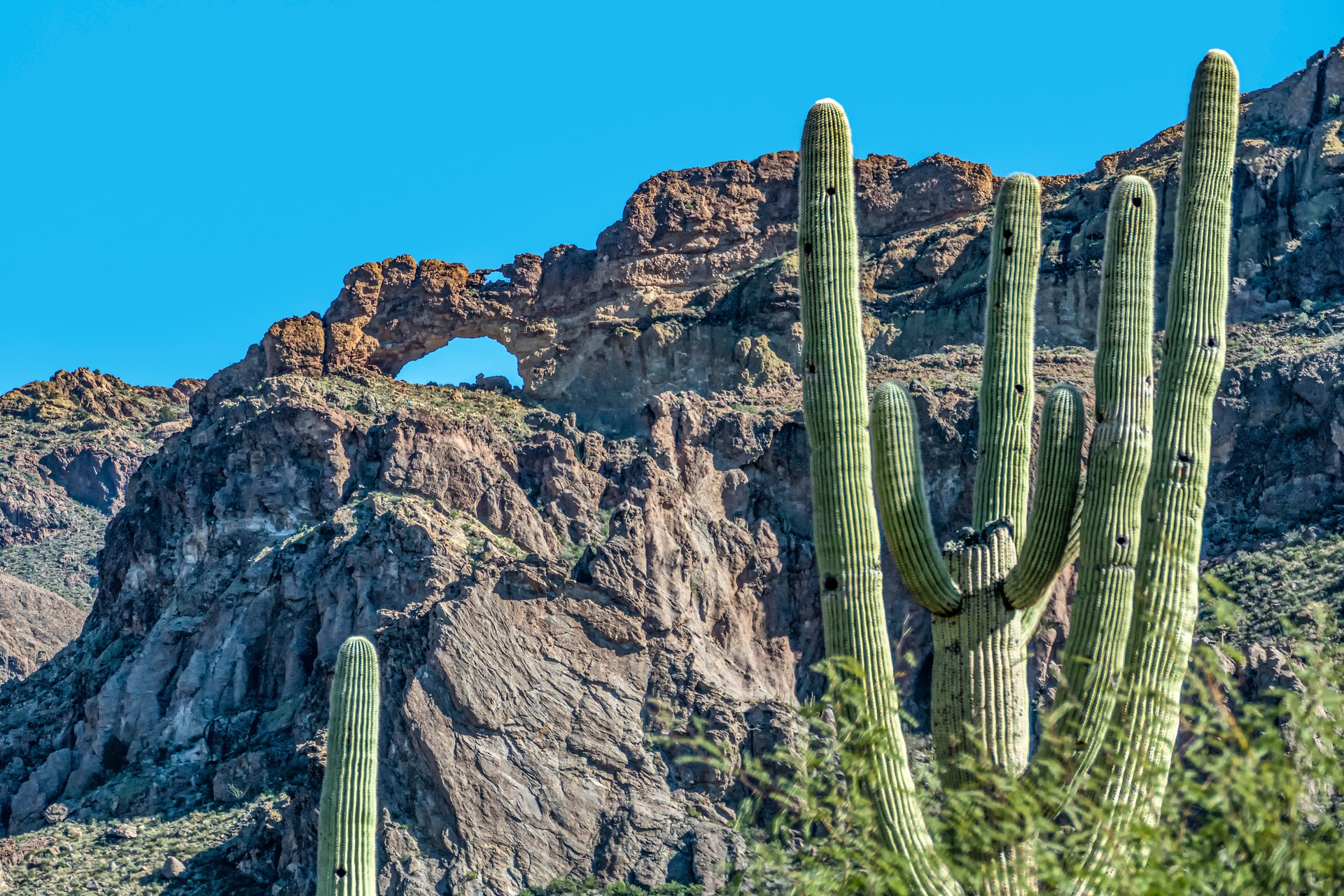 RV Parks & Campgrounds in Arizona