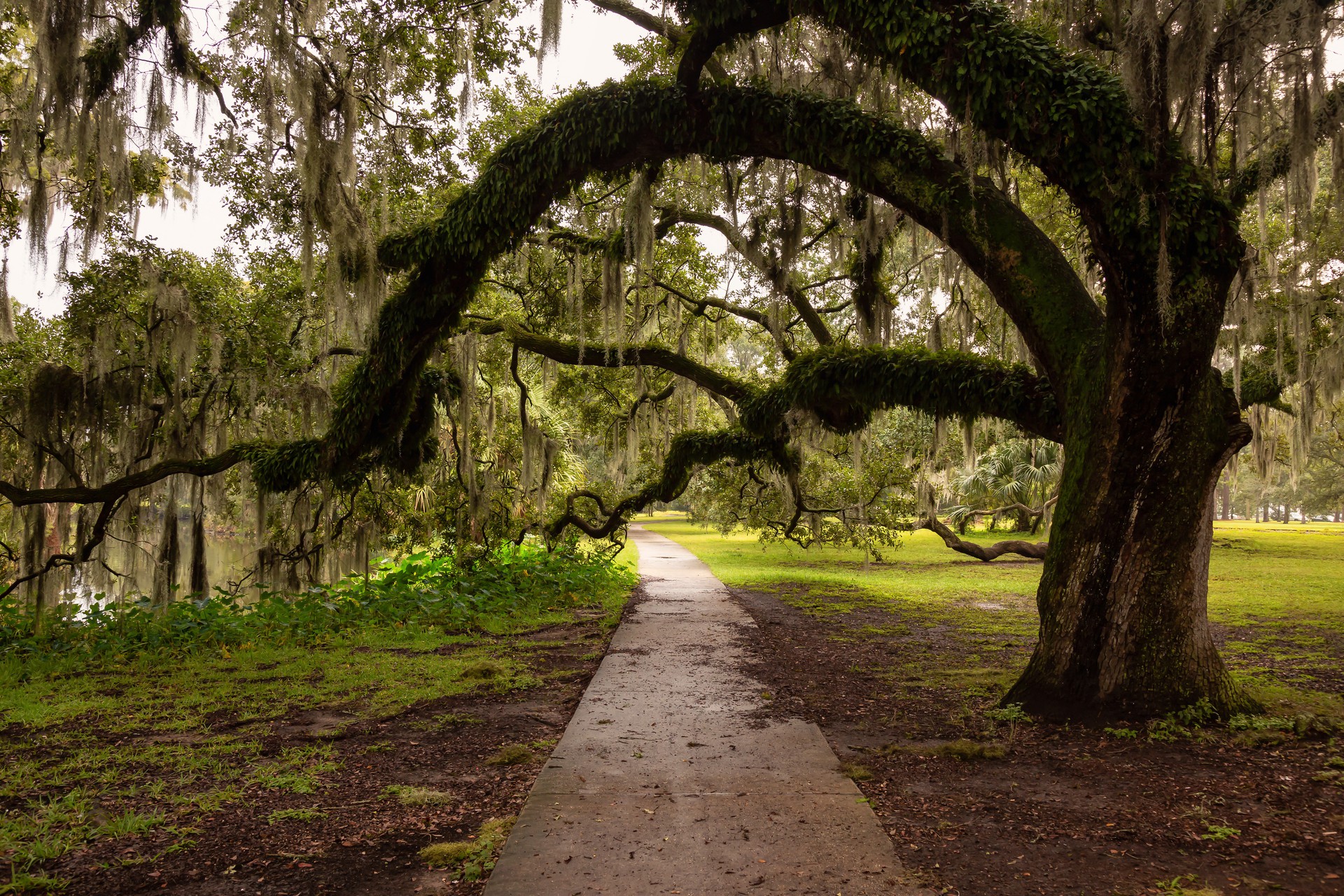 Top RV Parks & Campgrounds near New Orleans, LA