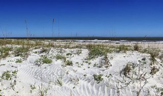 Anastasia State Park