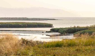 Belfair State Park