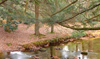 Clear Creek State Park