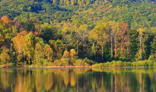 Cove Lake State Park