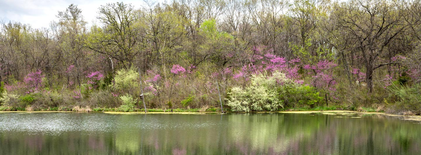 Lake Wappapello State Park Guide Outdoorsy