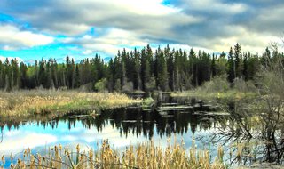 Riding Mountain National Park