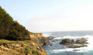 Van Damme State Park