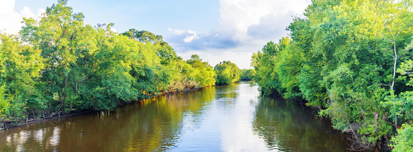 Bayou Segnette State Park Guide Outdoorsy
