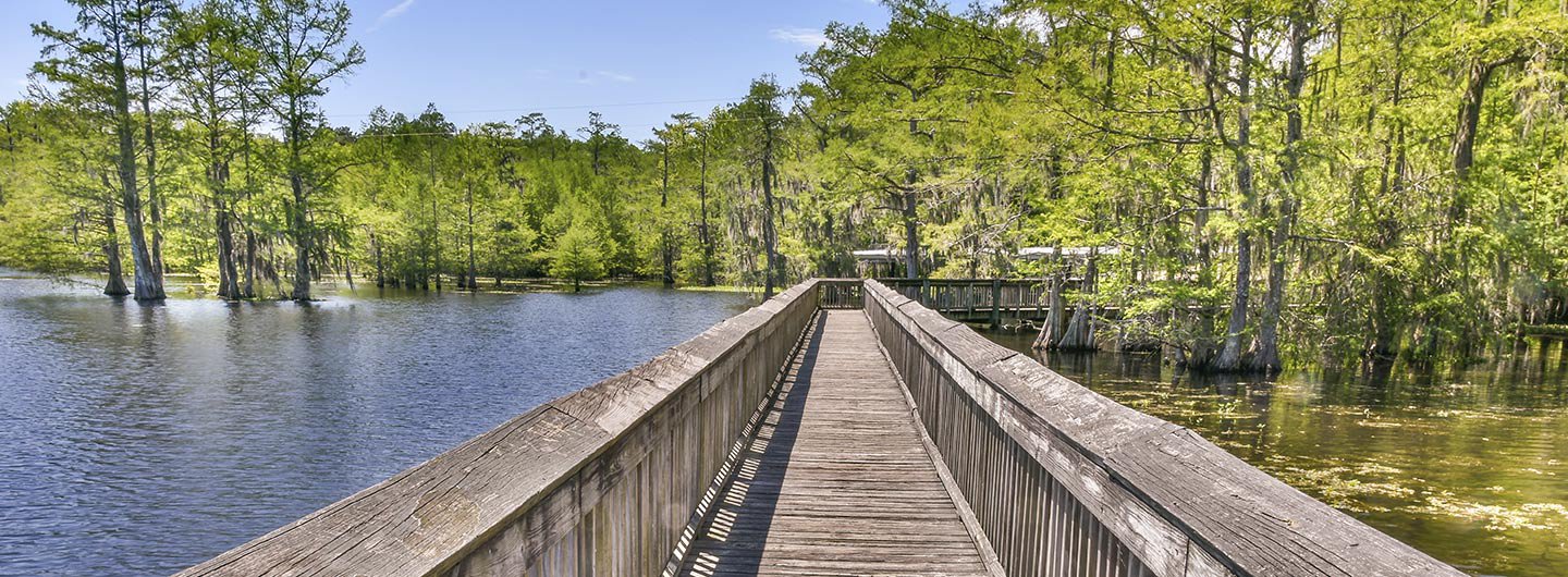 Chicot State Park Guide Outdoorsy