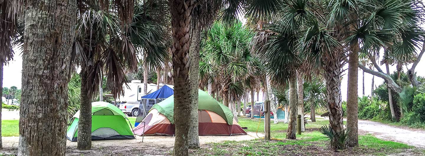 Edisto Beach State Park Guide Outdoorsy