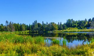 Fundy National Park