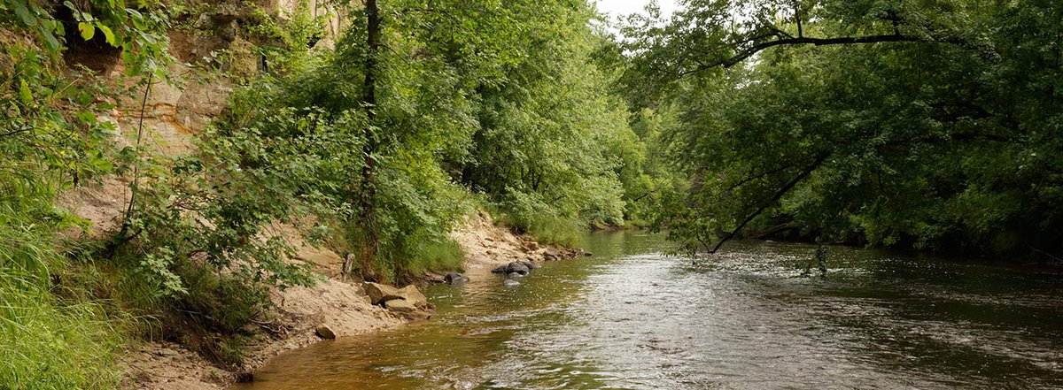 Governor Knowles State Forest Guide | Outdoorsy