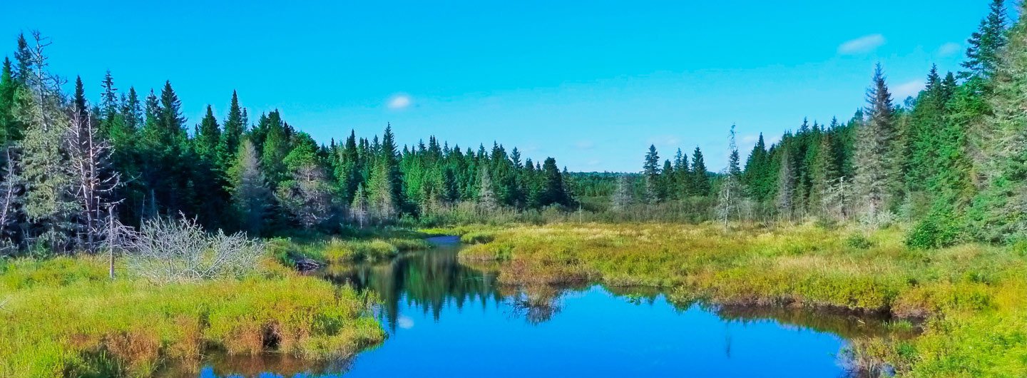 Herring Cove Provincial Park Guide Outdoorsy
