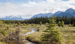 Kootenay National Park