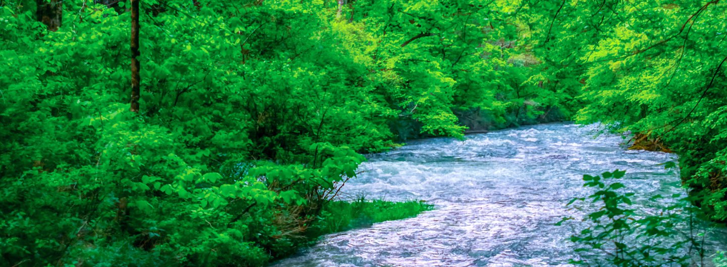 Mark Twain National Forest Guide Outdoorsy