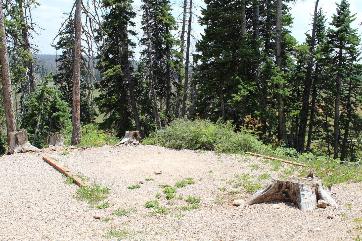 Site 19: Tent Pad