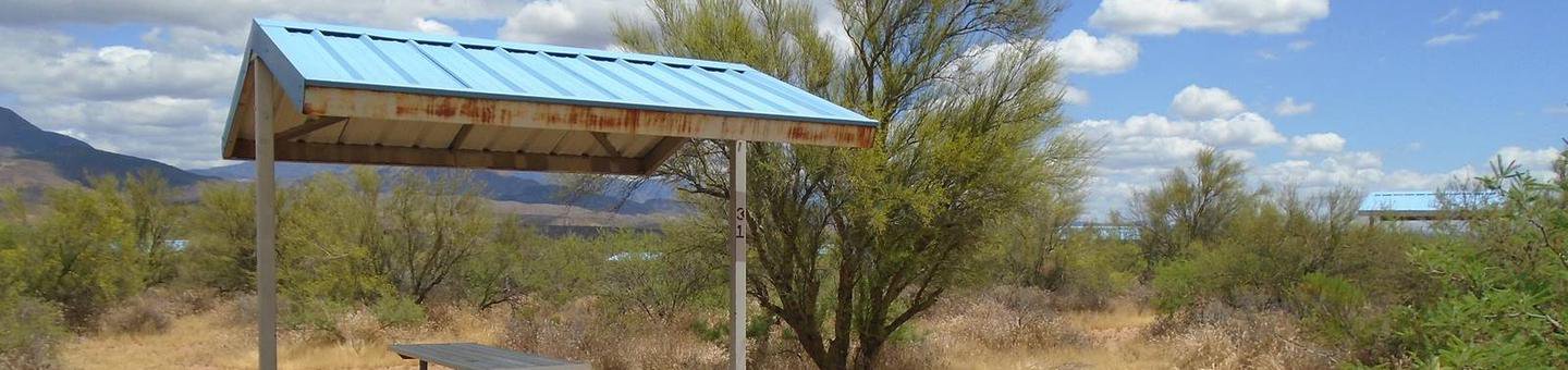 Campsite 31, Cholla Campground