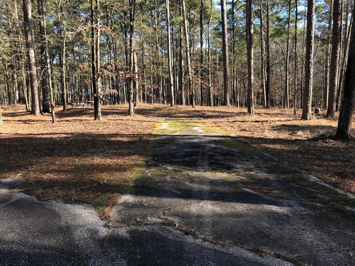 Take a trip to Point Cedar Campground Outdoorsy in ARKADELPHIA, AR