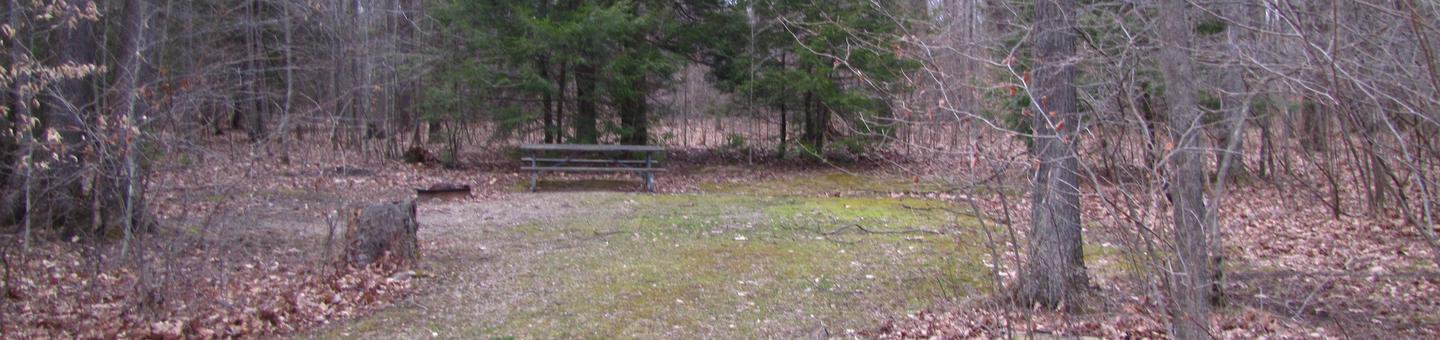 Hearts Content Recreation Area: Site 15