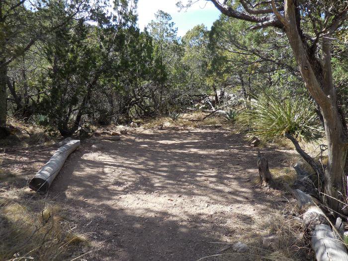 Big Bend Backcountry Camping Outdoorsy