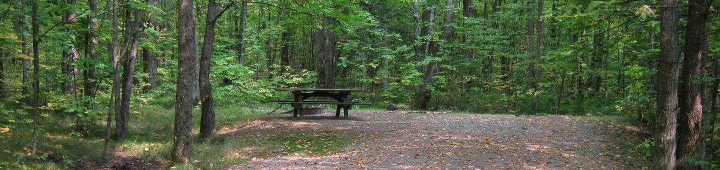 Campsite 33