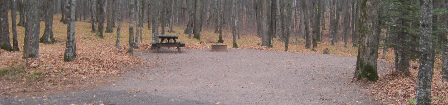 Campsite 24