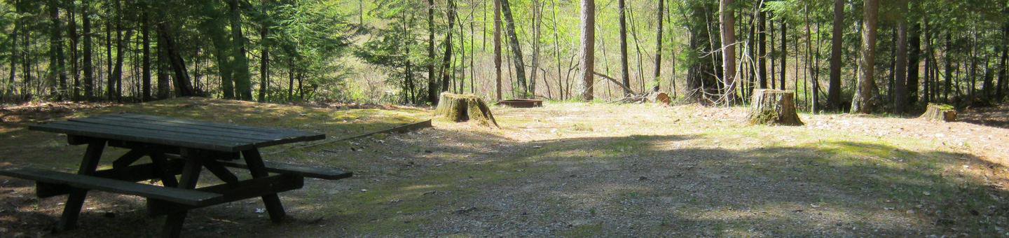 Campsite 4