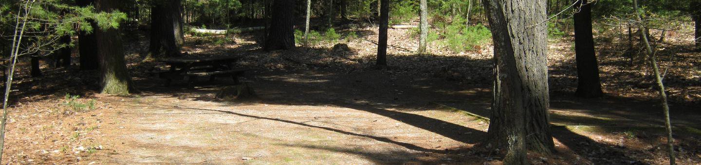 Campsite 3