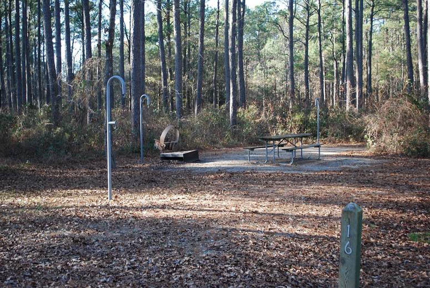 Oyster Point Campground Site 16