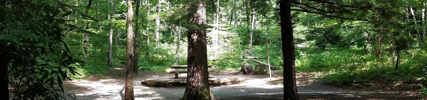 Carolina Hemlocks Recreation Area North Carolina 80 Burnsville Nc www.outdoorsy.com