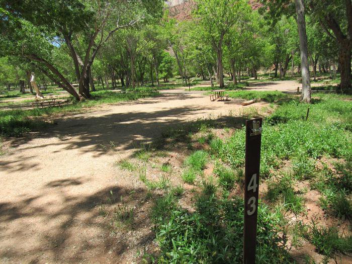 Site 43