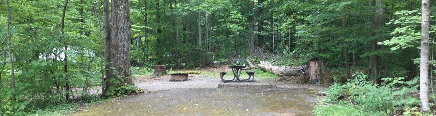 Kiasutha Recreation Area: Site 20