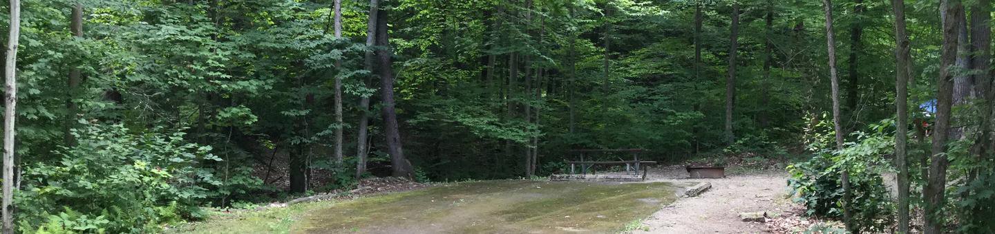 Kiasutha Recreation Area: Site 29