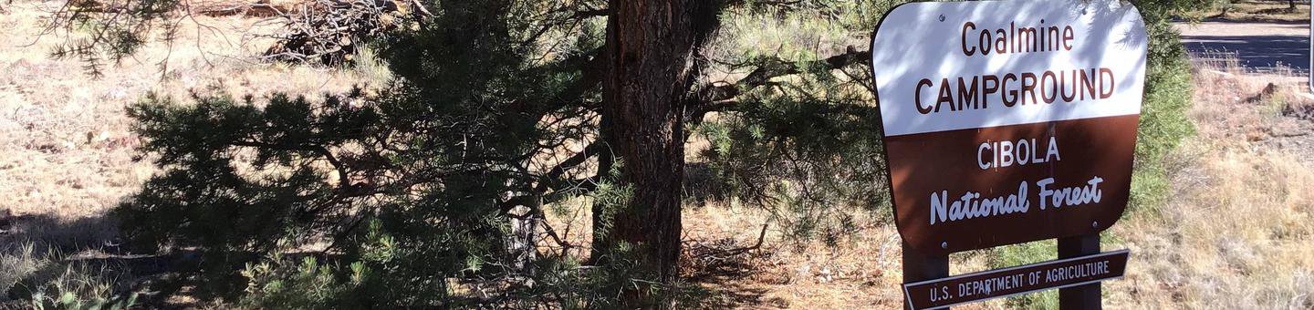 Coalmine Campground