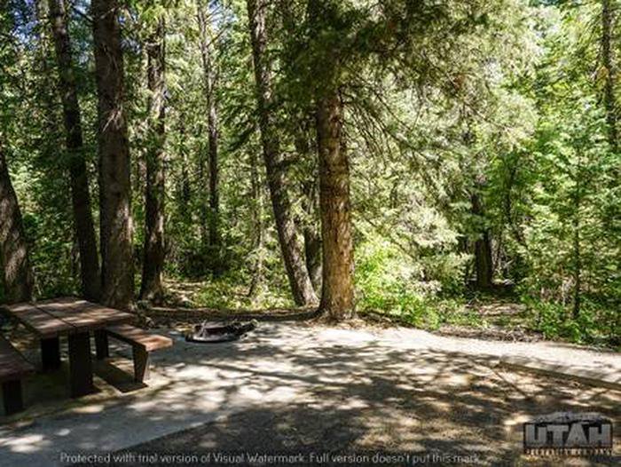 Tinney Flat - 010