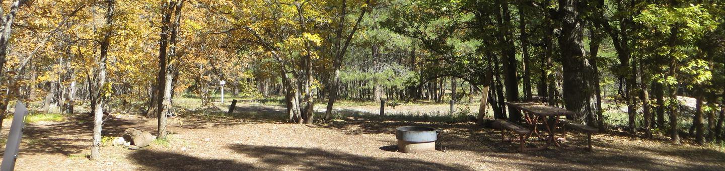 Dairy Springs Campground site #01 featuring picnic table, food storage, and fire pit among the trees. 