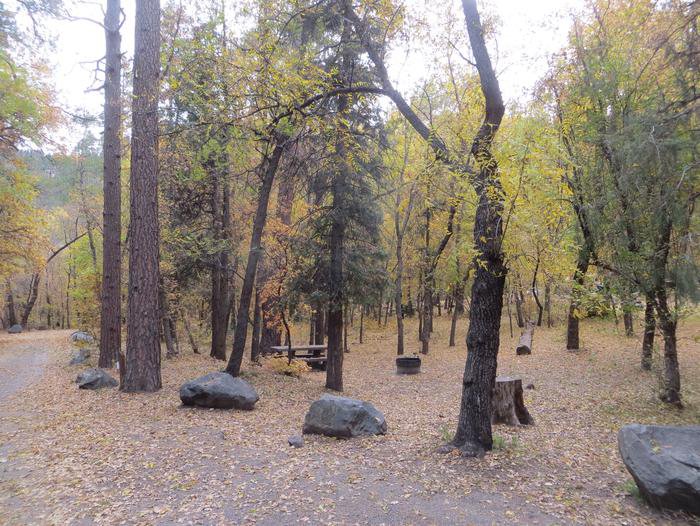Cave Spring Campground Site #A12 featuring picnic table and fire pit among the trees.