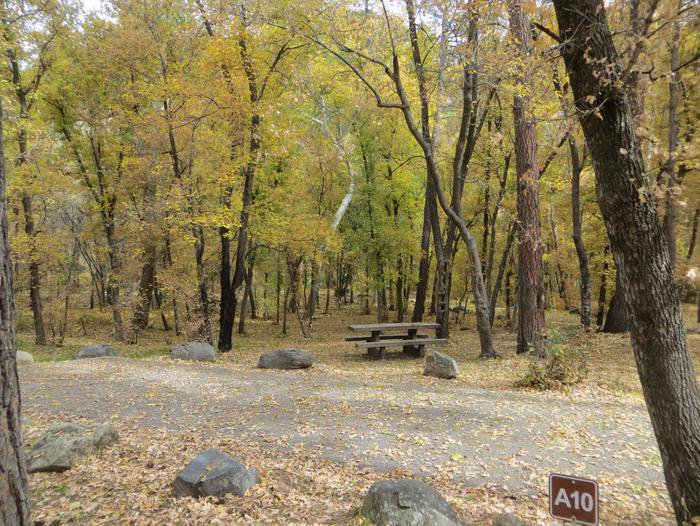 Cave Spring Campground Site #A10 featuring picnic table and fire pit among the trees.