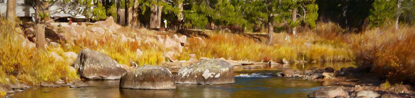 Prune Creek