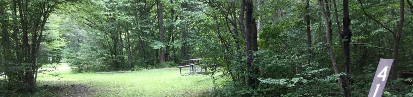 Twin Lakes Recreation Area: Site 41