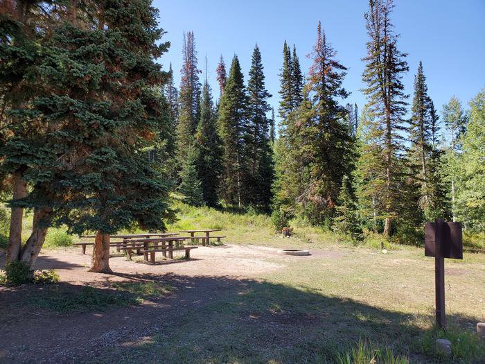 Gooseberry Campground Group Site #4