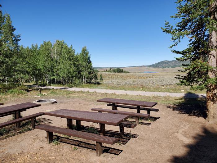 Gooseberry Campground Group Site #4
