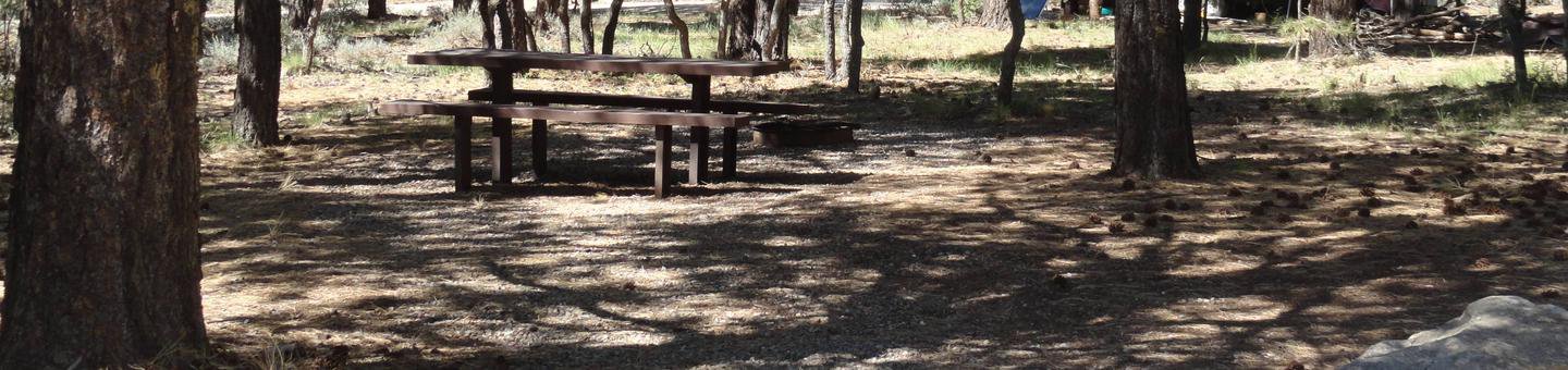 Campsite 14
