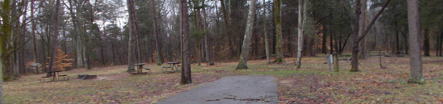 Equestrian, Group, RV Site 1
Water/Electric