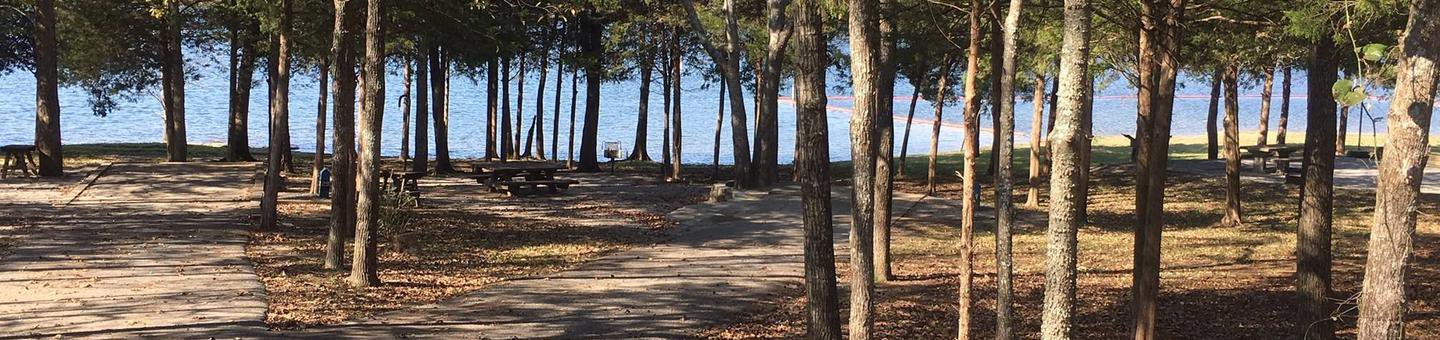 Campsite 27