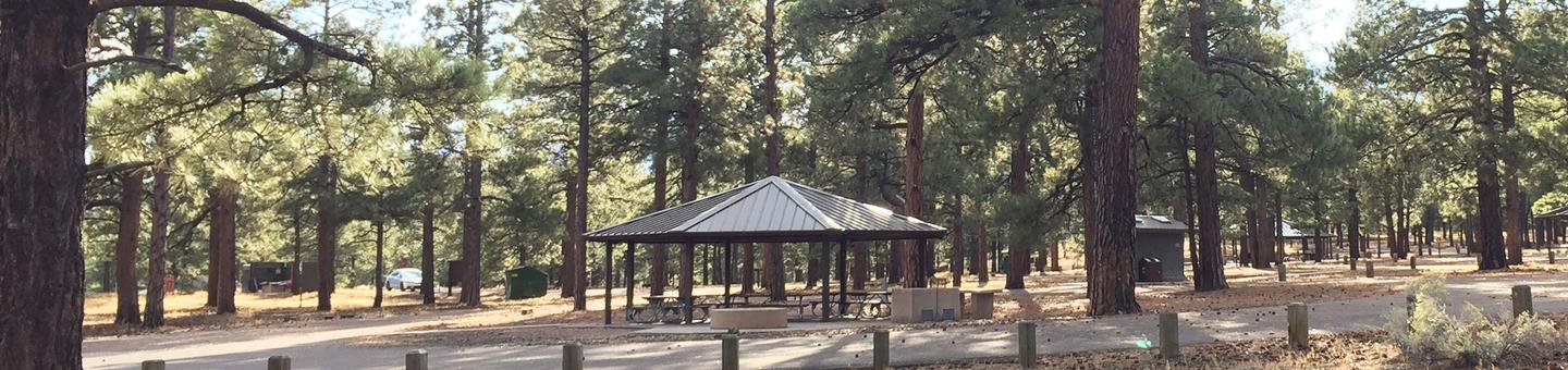 O'Leary Group Campground Group Site #01 ramada picnic area and parking space view among the trees. 