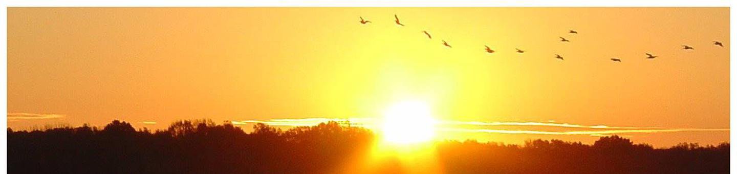 Arkabutla Lake Sunrise
