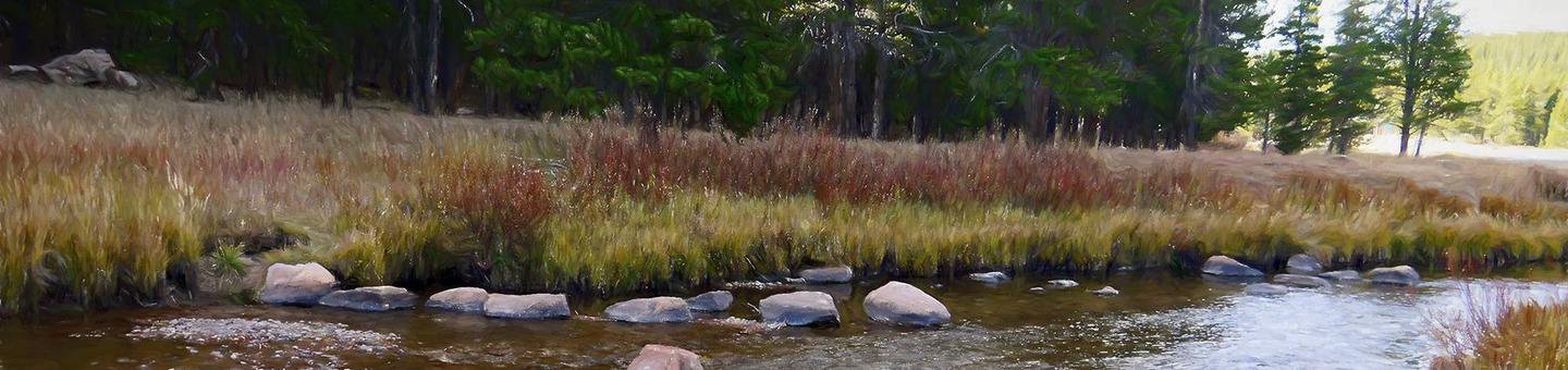 Pine Island